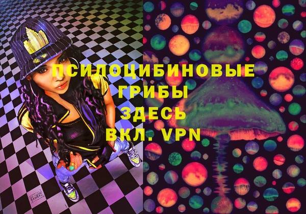 первитин Новодвинск