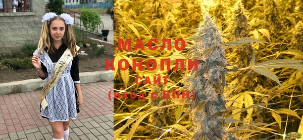 первитин Новодвинск
