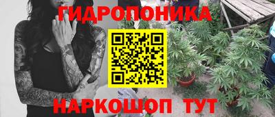 дживик Заводоуковск