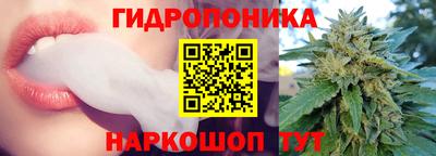 дживик Заводоуковск