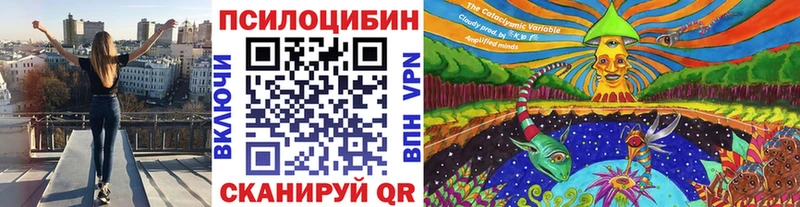 MEGA ONION  купить наркотики цена  Нефтеюганск  Псилоцибиновые грибы прущие грибы 