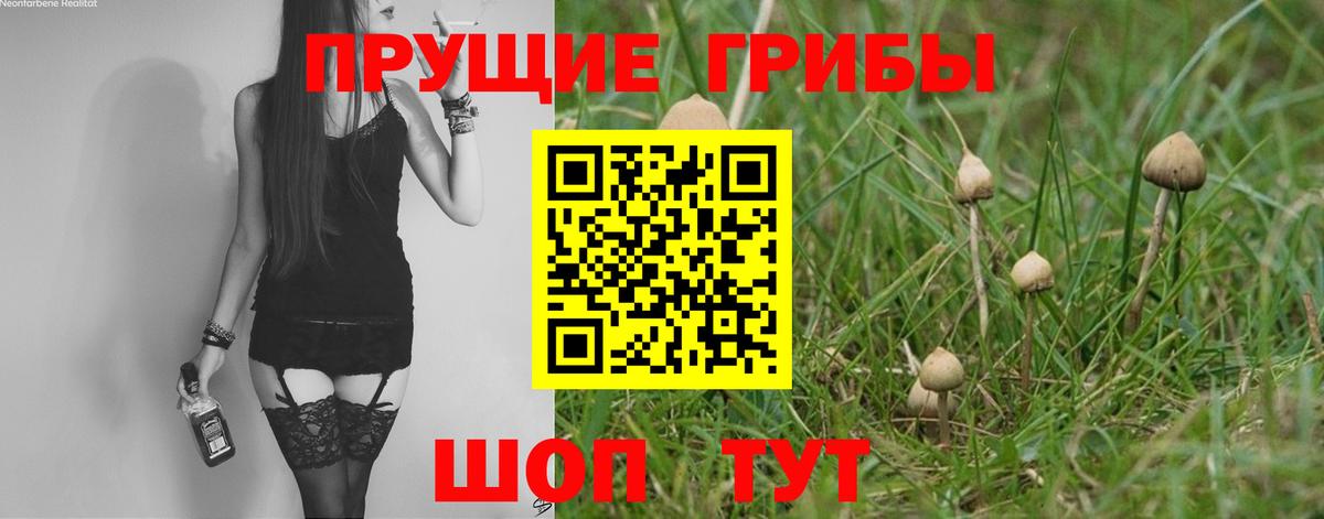 Псилоцибиновые грибы GOLDEN TEACHER Нефтеюганск